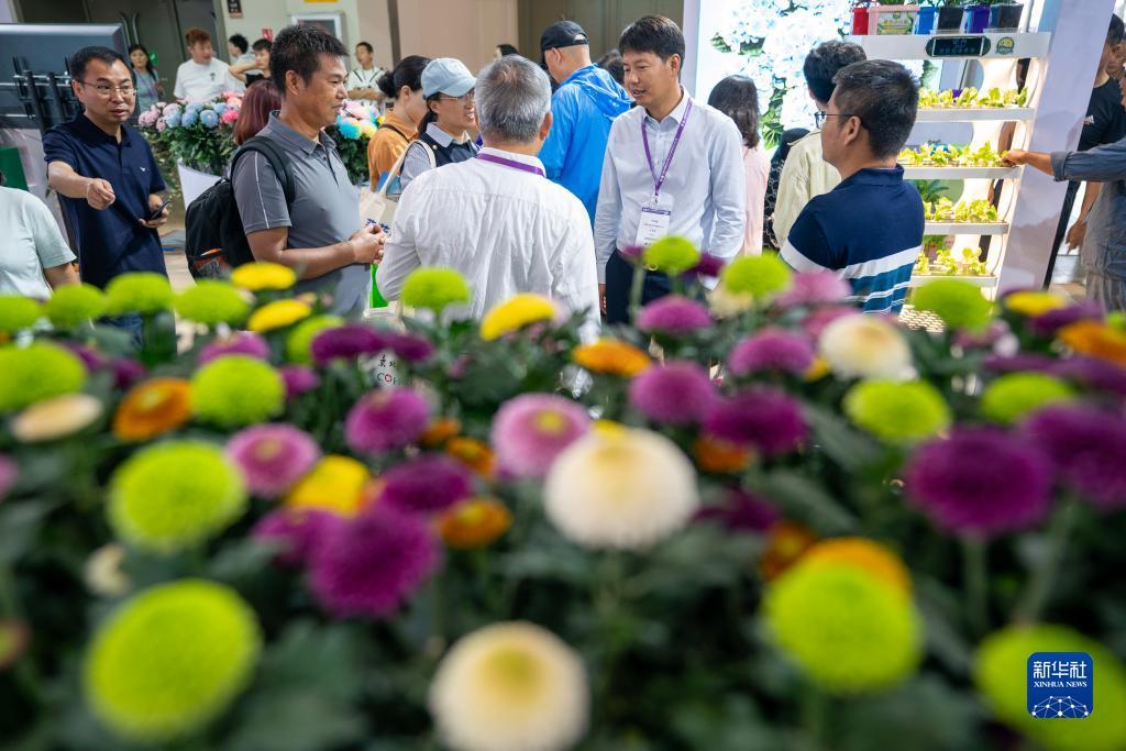 彩霸王论坛免费资料